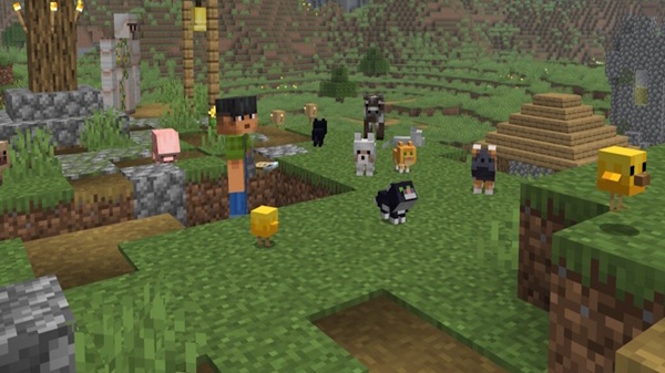 minecraft 1.26.50 pocket